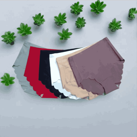 Silk Panties